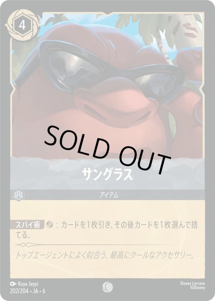 画像1: サングラス【C】〈202/204〉 (スティール) (1)