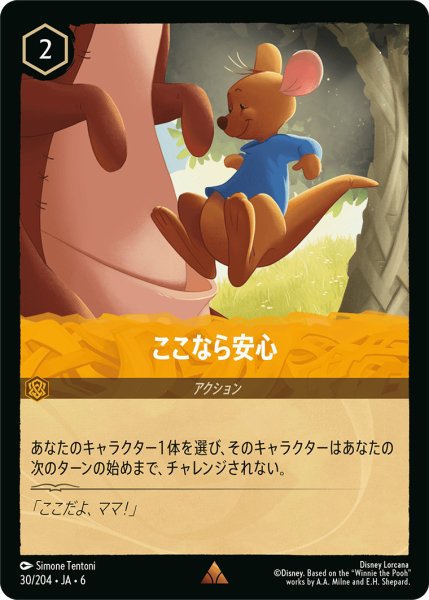 画像1: ここなら安心【R】〈30/204〉 (アンバー) (1)