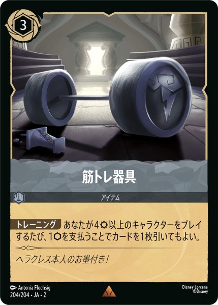 画像1: 筋トレ器具【R】〈204/204〉(スティール) (1)