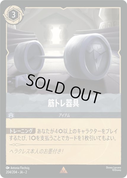 画像1: 筋トレ器具【R】〈204/204〉(スティール) [Foil] (1)