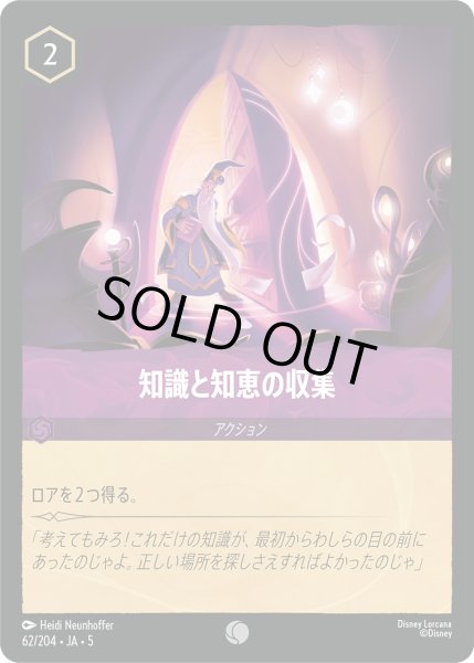 画像1: 知識と知恵の収集【C】〈62/204〉 (アメジスト) [Foil] (1)