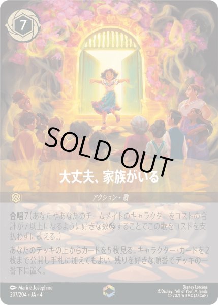 画像1: 大丈夫、家族がいる【E】〈207/204〉(アンバー) (1)